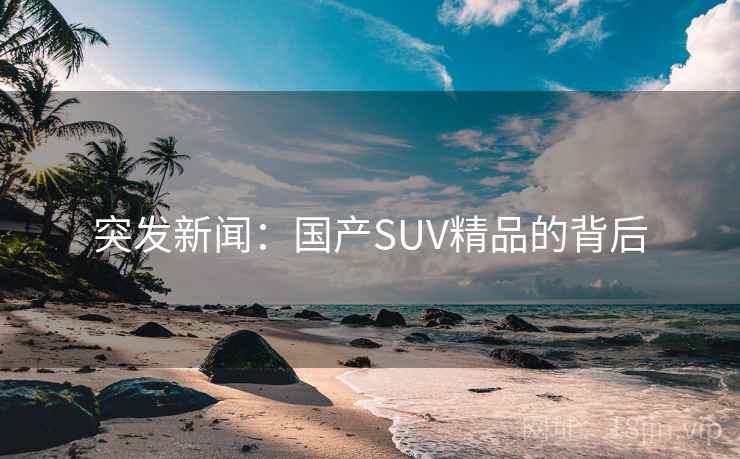 突发新闻:国产SUV精品的背后 突发新闻:国产SUV精品的背后
